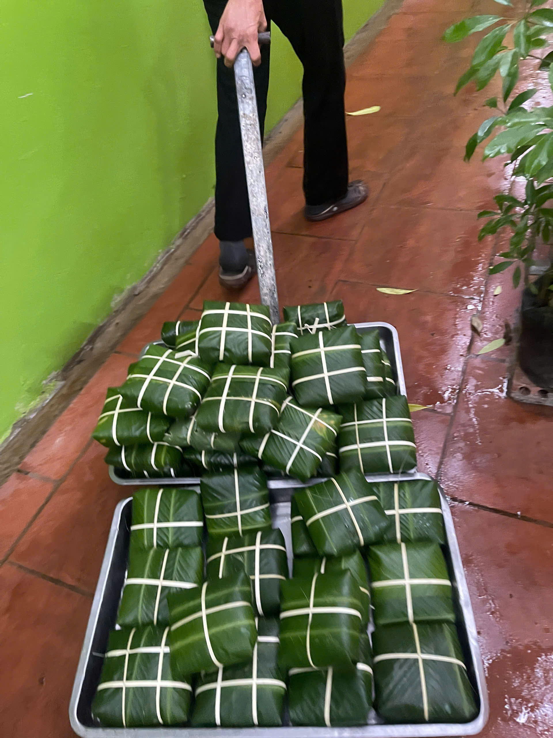 Bánh chưng chay