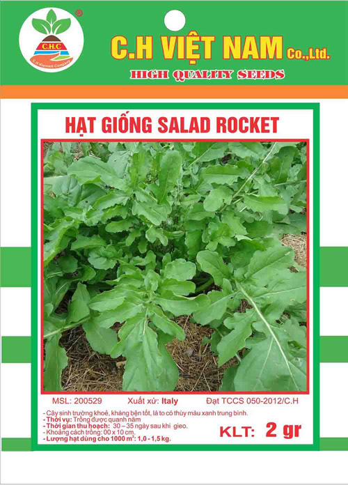 Hạt giống salad rocket