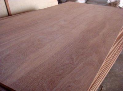 Keruing plywood
