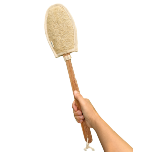 Cây chà lưng xơ mướp