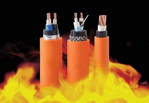 Cáp chống cháy Cadivi CXE-FR-LSHF 0.6-1 KV