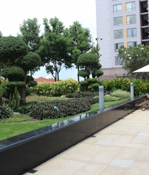 Thi Công Cảnh Quan
