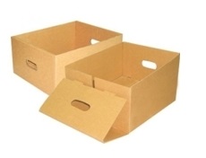 Hộp carton bế lỗ