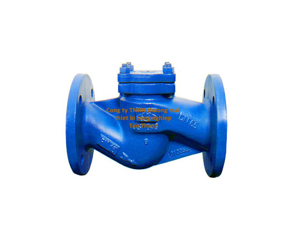 Van 1 chiều hơi nối bích DIN PN16 - PN25 - PN40