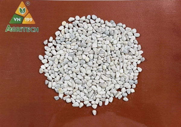Sỏi trắng sữa