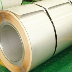 Inox cuộn 310