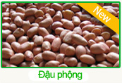 Đậu phộng