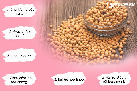 Mầm đậu nành Xuân Lộc