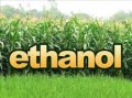 Cồn Ethanol tuyệt đối