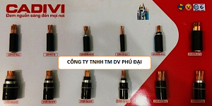 Dây cáp điện hạ thế bọc PVC 450-750V 50mm2 Cadivi
