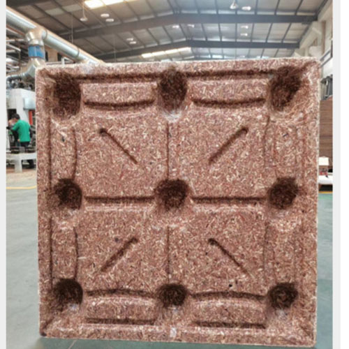 Pallet gỗ ép