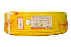 Dây điện Trần Phú