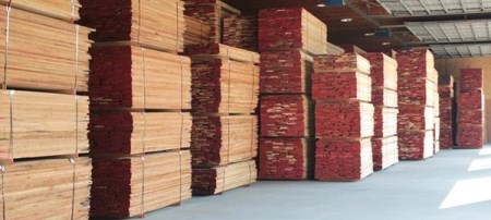 Gỗ sồi xẻ sấy châu Âu