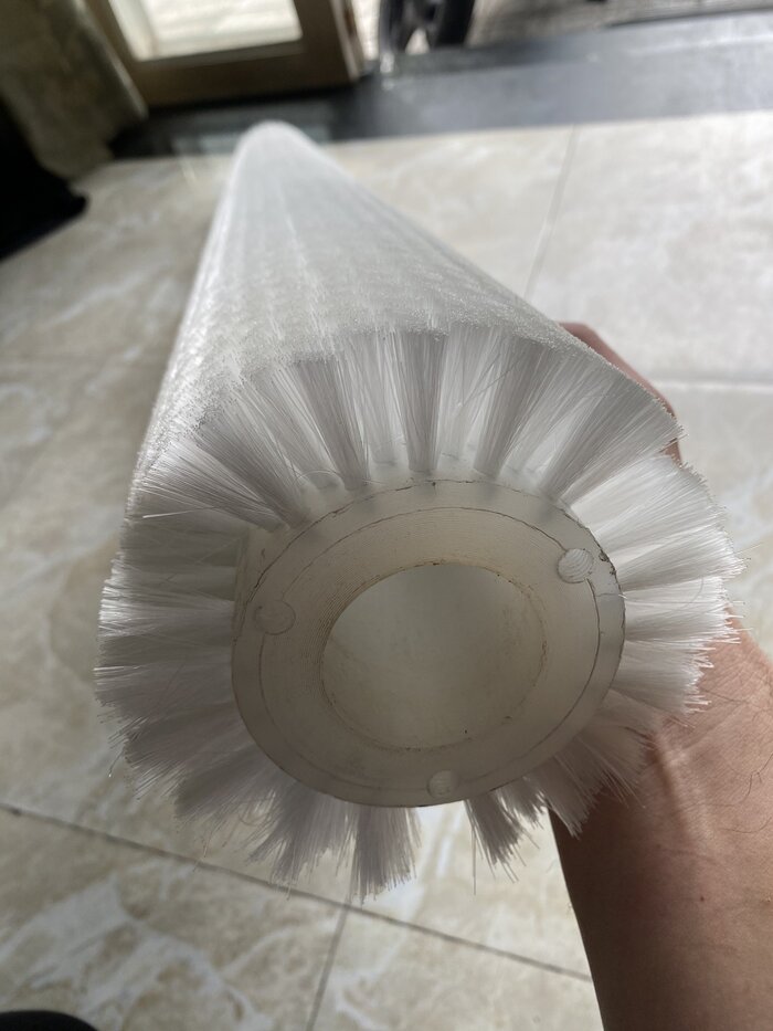 Cây nilon trắng
