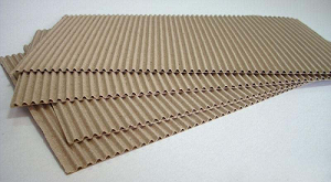Bìa carton 2 lớp