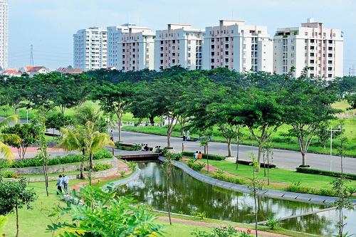 Dịch vụ chăm sóc, bảo dưỡng cây xanh