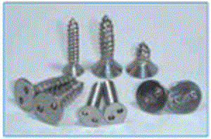 Vít chống trộm SP04