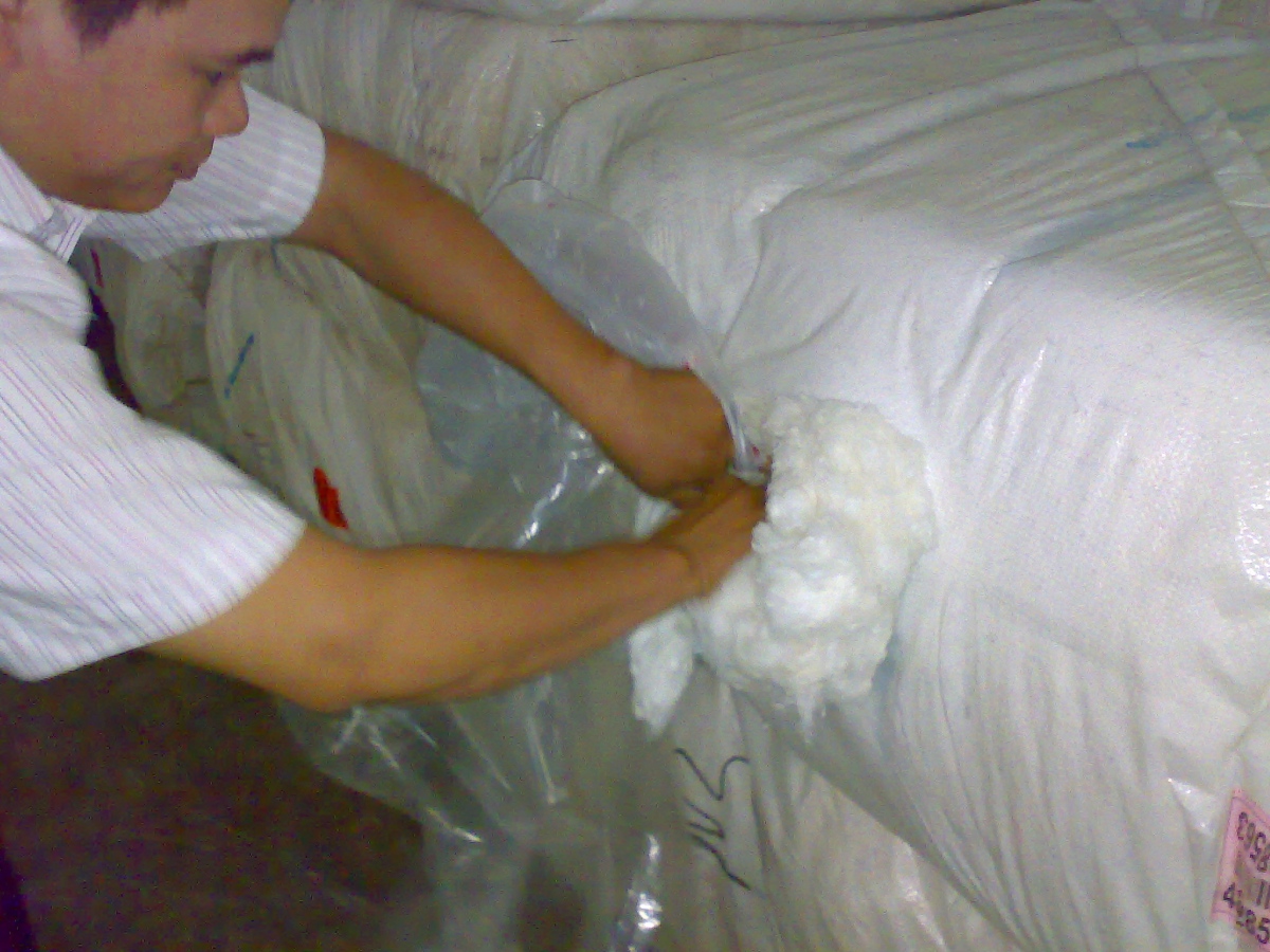 Bông Cotton
