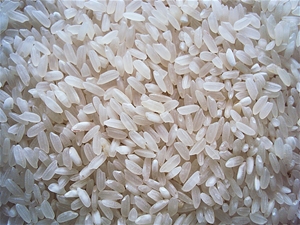 Gạo Hàm Châu xốp