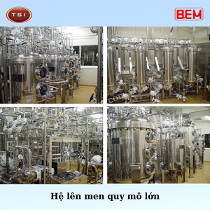 Thiết Bị Lên Men Quy Mô Pilot Và Quy Mô Công Nghiệp