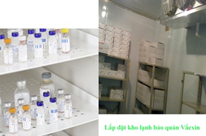 Thiết Kế Lắp Đặt Kho Lạnh Bảo Quản Vacxin