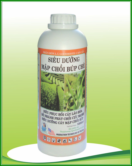 Siêu dưỡng mập chồi búp chè