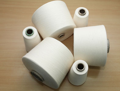 Sợi Spandex