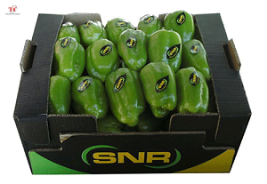Bao Bì Carton 3 Lớp