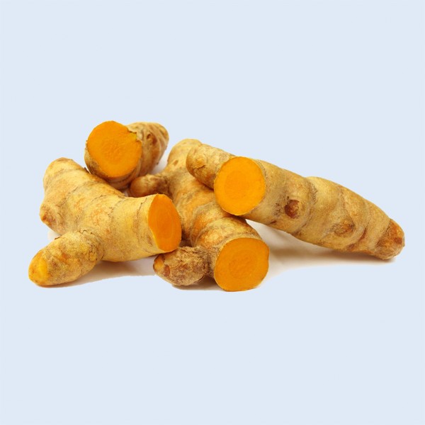 Nghệ
