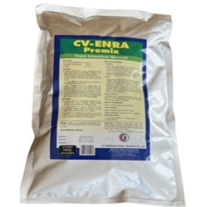 CV ENRA