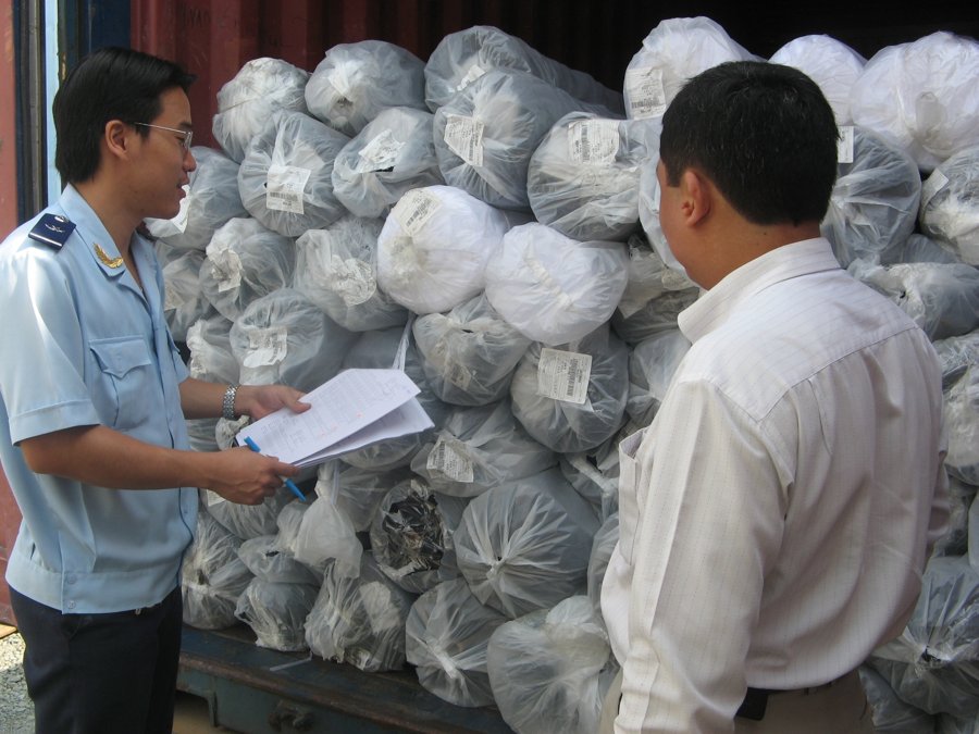 Dịch vụ hải quan