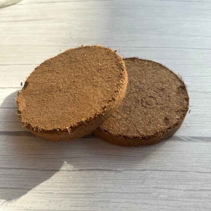 Đĩa xơ dừa trồng cây