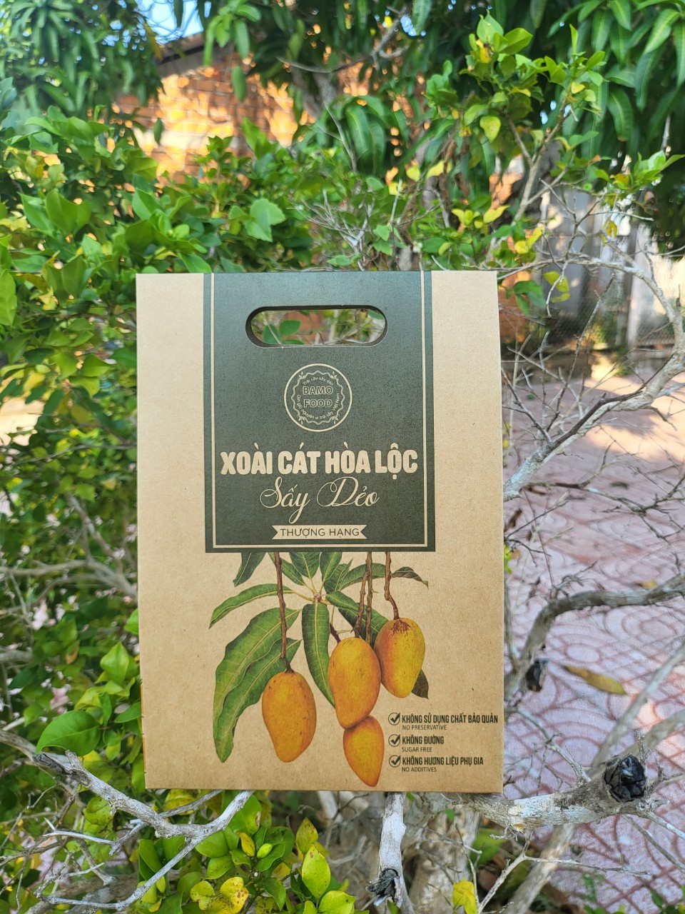 Xoài cát Hòa Lộc sấy dẻo