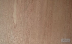 Keo sữa ghép gỗ 2 thành phần AD-301