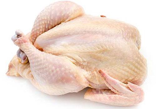 Thịt gà