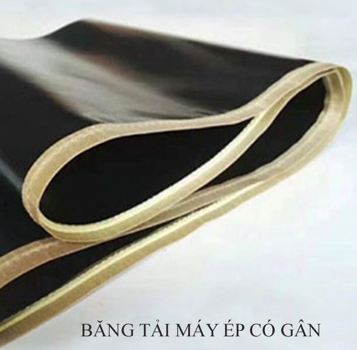 Băng tải đúc liền có gân