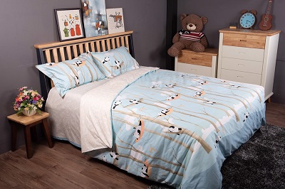 Bộ chăn ga gối cotton lụa
