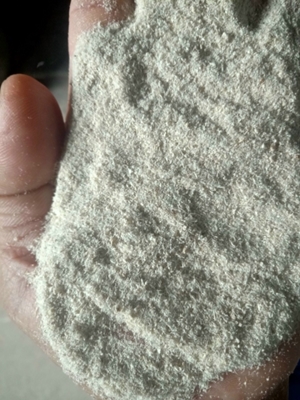 Bã Mì Sấy