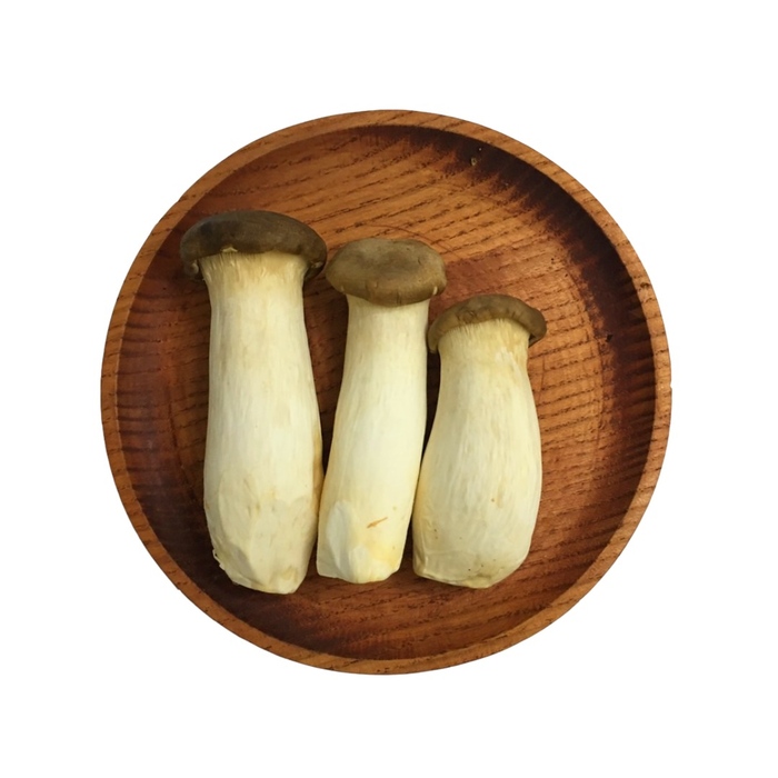 Nấm đùi gà