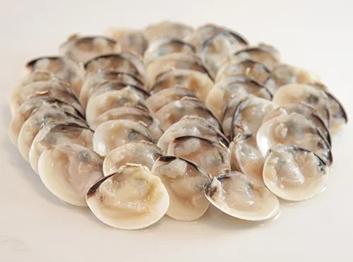 Ngao trắng nửa vỏ