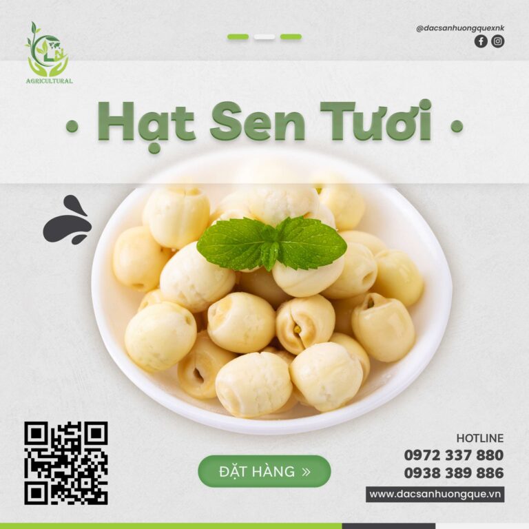Hạt sen tươi