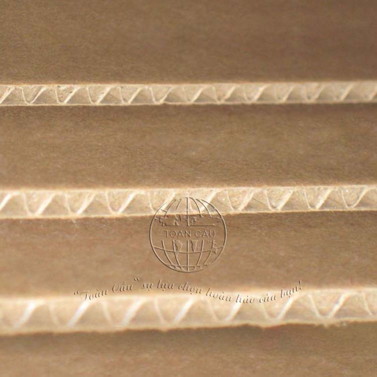 Phôi carton 3 lớp
