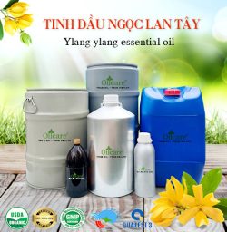 Tinh dầu ngọc lan tây