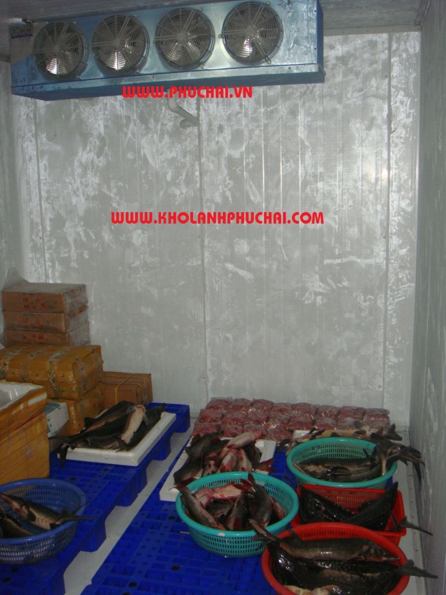 Lắp đặt kho trữ đông thủy sản
