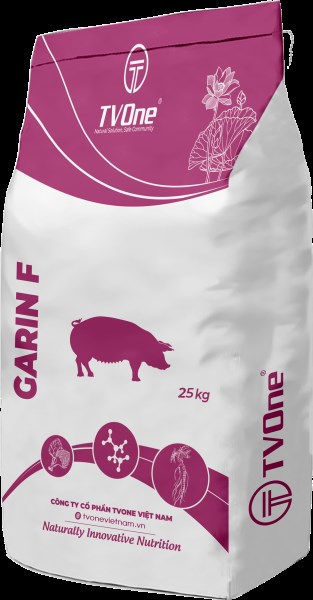 GARIN F