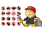 Dịch vụ diệt côn trùng
