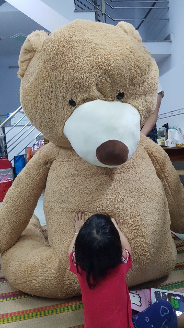 giặt ủi sấy khô gấu bông