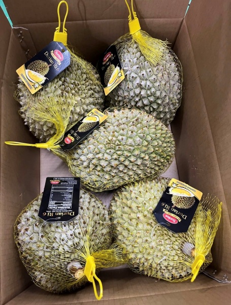 Sầu riêng