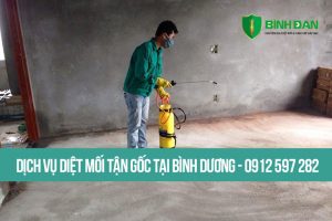 Dịch vụ diệt mối