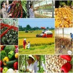 Hóa chất nông nghiệp